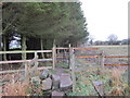 A footpath leading towards Rawdon