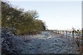 Footpath to the farm