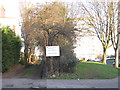 Court Lane Allotments