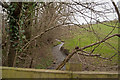 Looking downstream from a bridge on Coney Gut near Youldon House