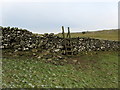 SD8068 : Footpath between Wharfe Wood and Little Stainforth by Chris Heaton