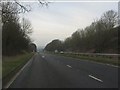 Long straight on the A491