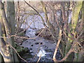 Confluence of Crossley Burn and River South Tyne