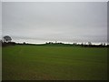 Towards Stillingfleet Hill