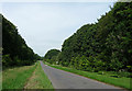 Country road near Micheldever