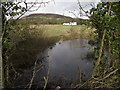 Pond at Holcombe Brook