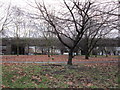 Looking across the Chiswick roundabout to the M4