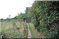 Footpath to Claydon Church