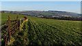 Fields near Dalmoak