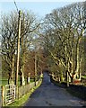 The Carradale Road at Saddell