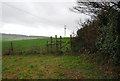 Stile approaching Big Wood