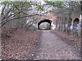 View along Parkland Walk, to west