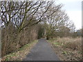 Cycle track towards Knaresborough