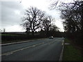 A61 towards Harrogate