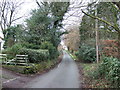 Crag Hill Lane heading west