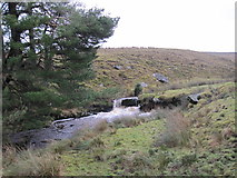 NY7975 : Small Waterfall, Middle Burn, Stonehaugh by Les Hull