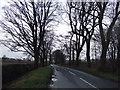 Green Lane heading north