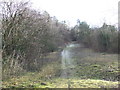 TQ5261 : Path on White Hill near Shoreham by Malc McDonald