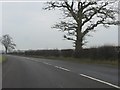 A41 north of the layby