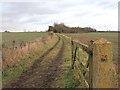 Footpath towards Bishopton Hill