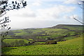 Pilsdon Pen from Lewesdon Hill