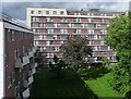 Hallfield Estate, Bishop