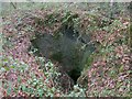 Abandoned Coal Pit at Ynys Dawela Park