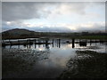SO1227 : Flooded footpath at Llangorse Lake in January by Jeremy Bolwell