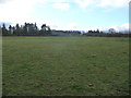 The rear aspect of Tymawr farm above Llangorse Lake