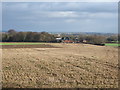 Farmland towards Thorpe Farm