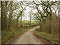 Lane at Underdown Moor