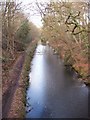 Basingstoke Canal from Deepcut Bridge