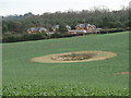 Estate houses and pond near Woburn