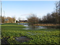 Stewartson Road after rain