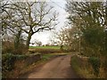 Bridge, Hayes Barton