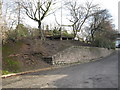 Footpath slope from Newport Road