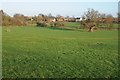 Farmland at Martin Hussingtree