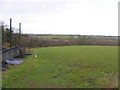 Mulnagoagh Townland