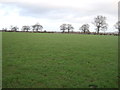 Farmland off Skipton Road