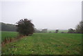 Footpath along the field edge