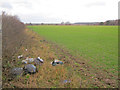 Arable land on Lockwell Hill