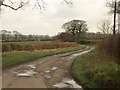 Lane to Folly Gate