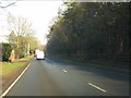 A49 in woodland near Nunsmere