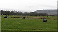 Round bales