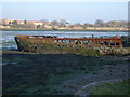 Barge, Forton Lake