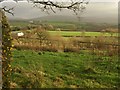 Farmland near Thorndon