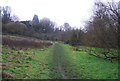 Footpath up the Loose Valley