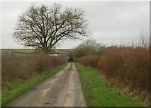 SX5396 : Lane to Cruft Gate by Derek Harper