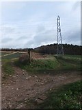 SX9582 : Track to Wood Brake woodland and pylon by David Smith