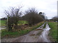 TM3562 : Footpath to Chapel Lane by Geographer